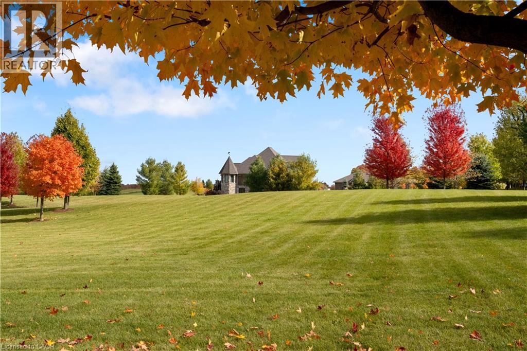 46 ANITA Drive thumbnail 4