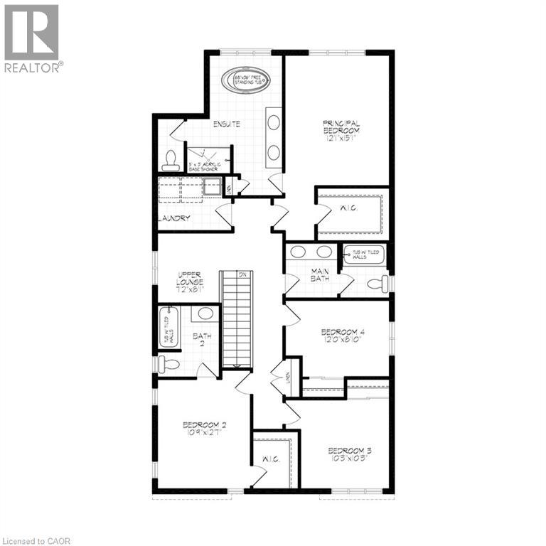 335 CANADA PLUM Street thumbnail 4