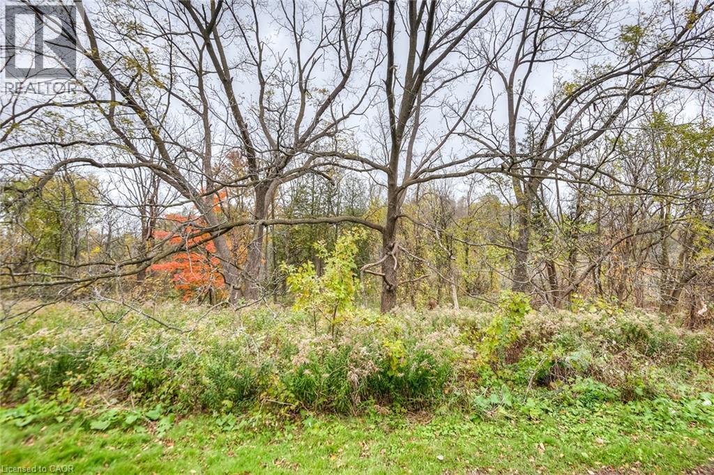 4 AVALON Place Unit# 103 thumbnail 10