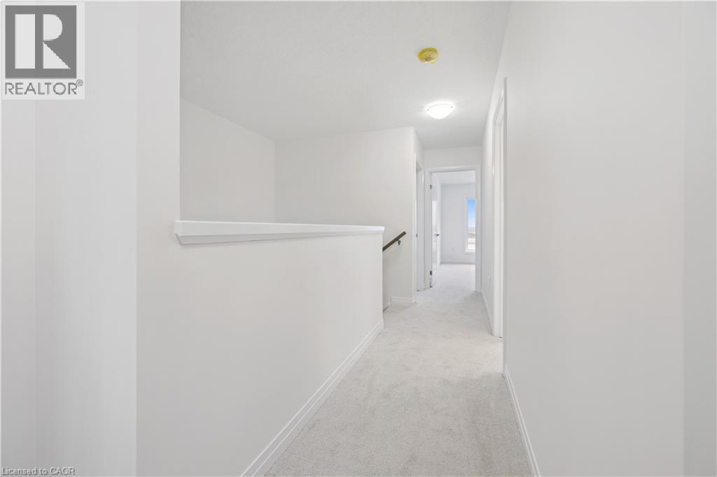 107 WINTER WREN Crescent thumbnail 20