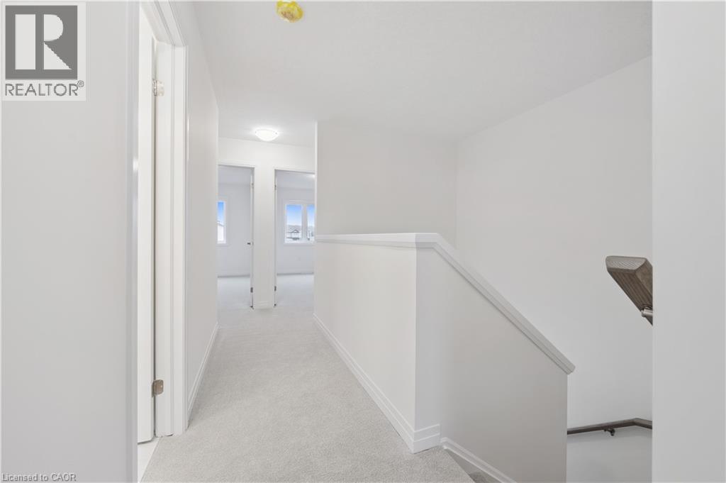 107 WINTER WREN Crescent thumbnail 19