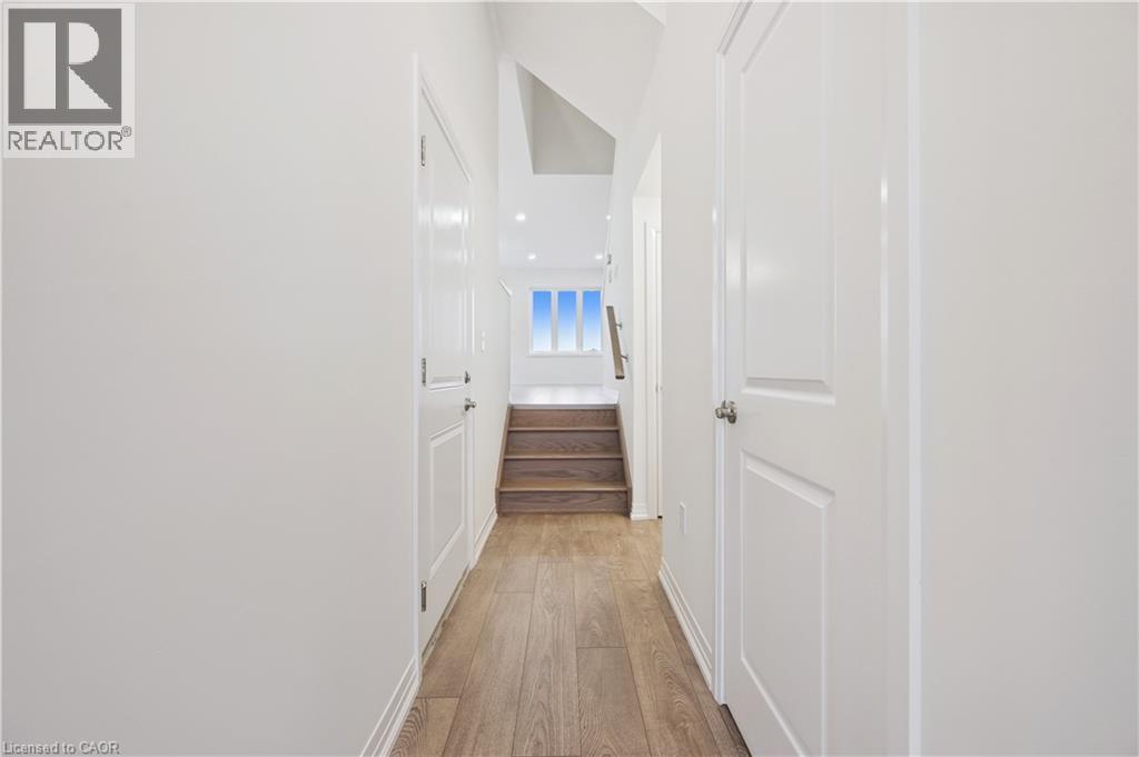 107 WINTER WREN Crescent thumbnail 5