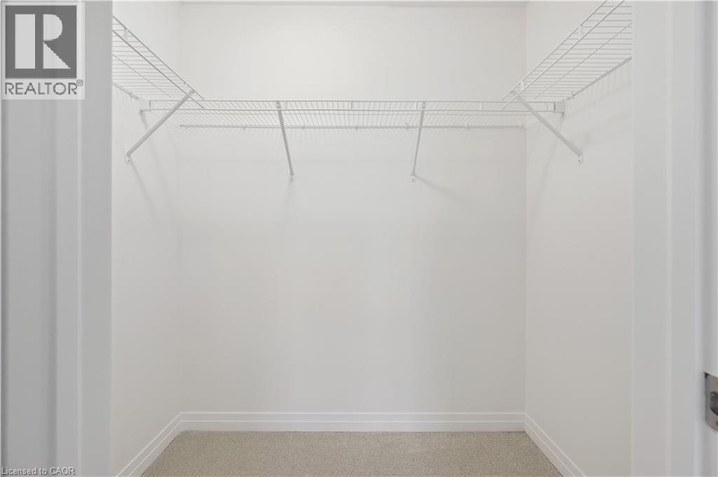 107 WINTER WREN Crescent thumbnail 25