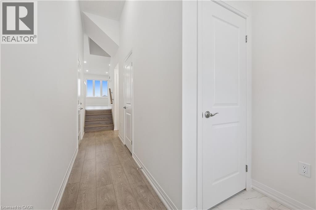 107 WINTER WREN Crescent thumbnail 3