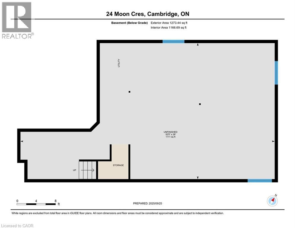 24 MOON Crescent thumbnail 49