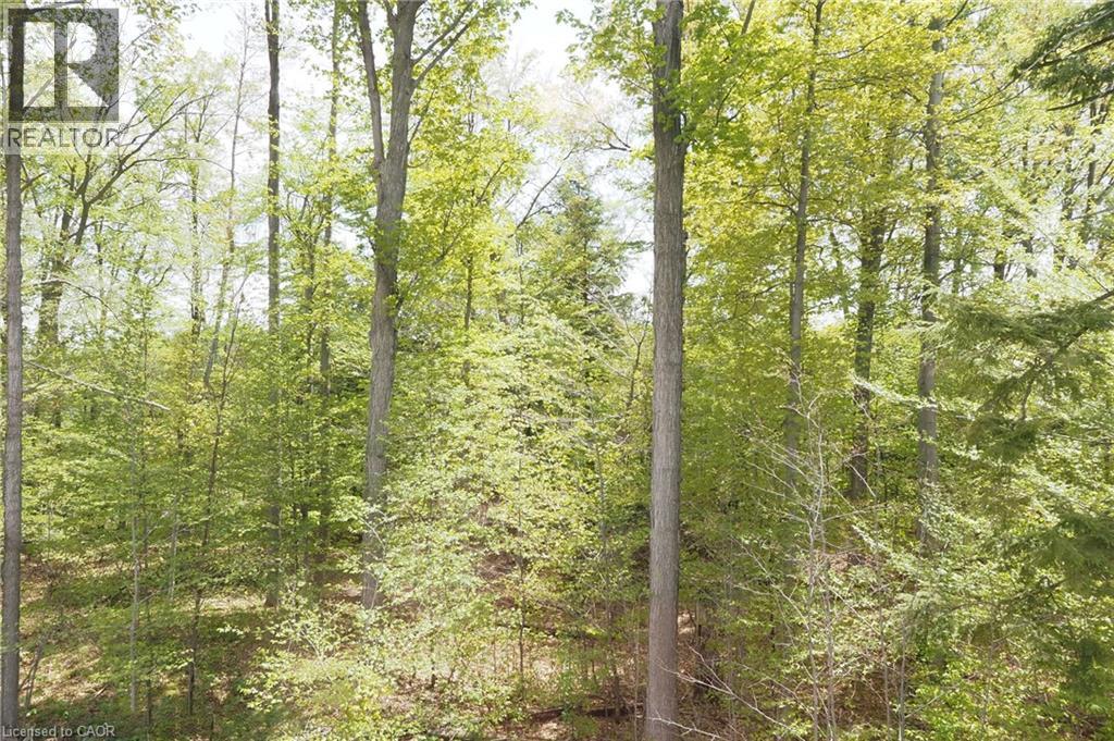 220 JEFFREY Place thumbnail 2