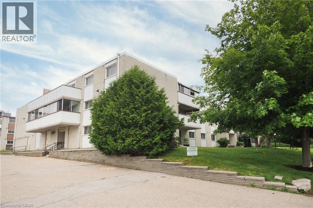 6 WALTON Avenue Unit# 206 thumbnail 3