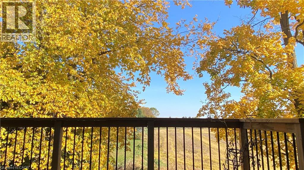 164 TIMBER TRAIL Road thumbnail 45