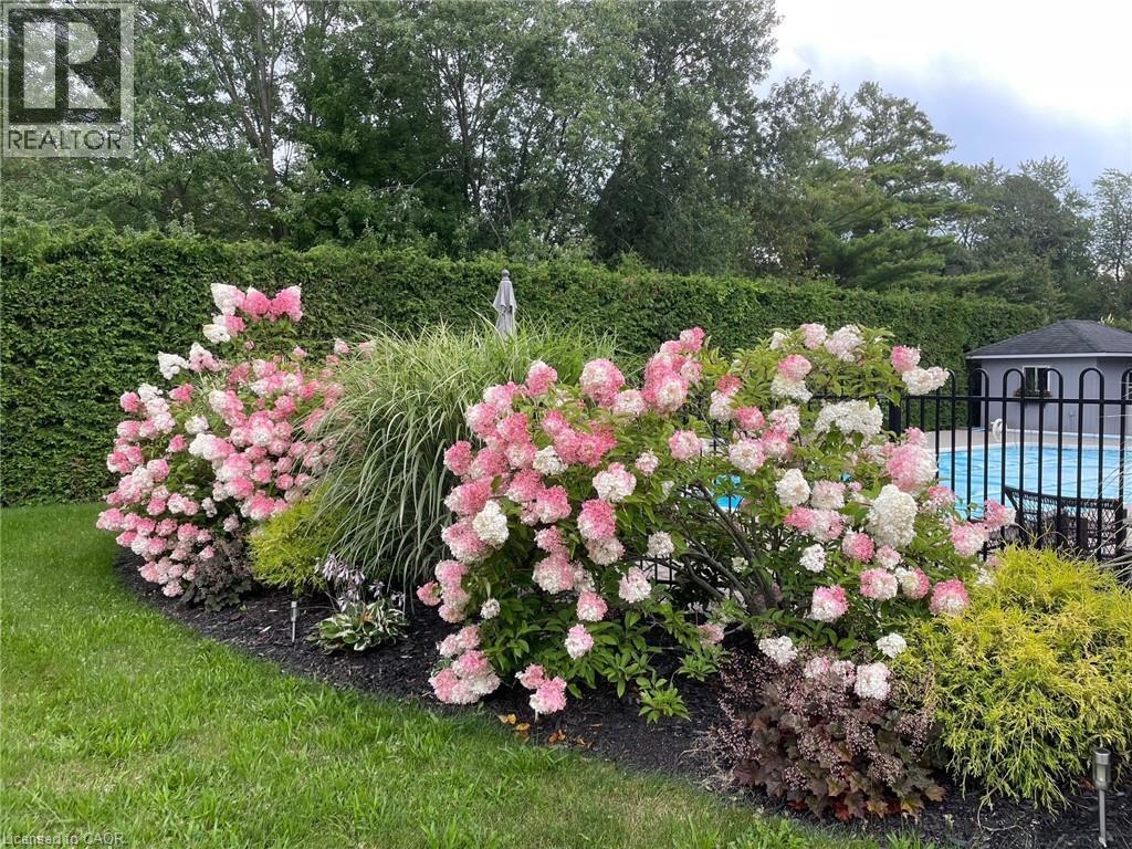 1 BROWN Avenue thumbnail 43