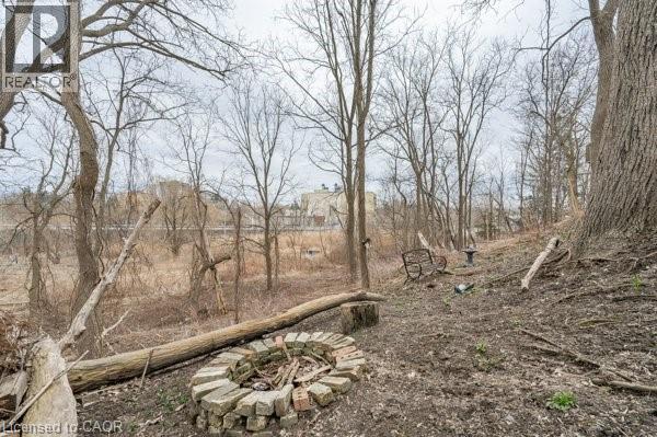 163 FOUNTAIN Street N thumbnail 4