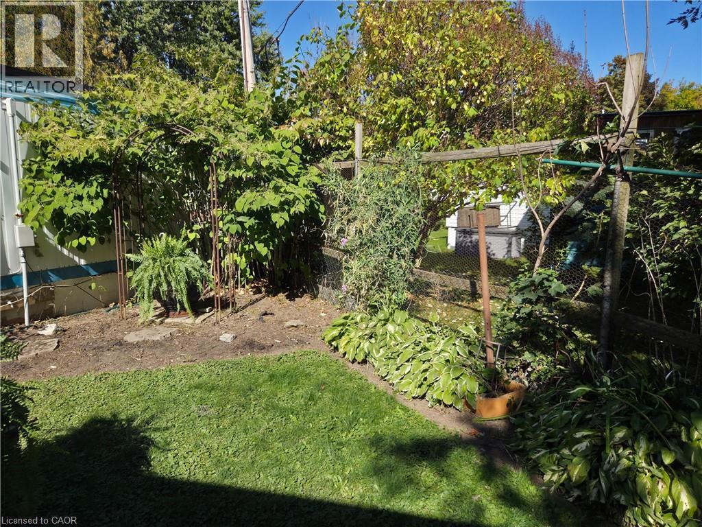 123 SCOTT Street thumbnail 15