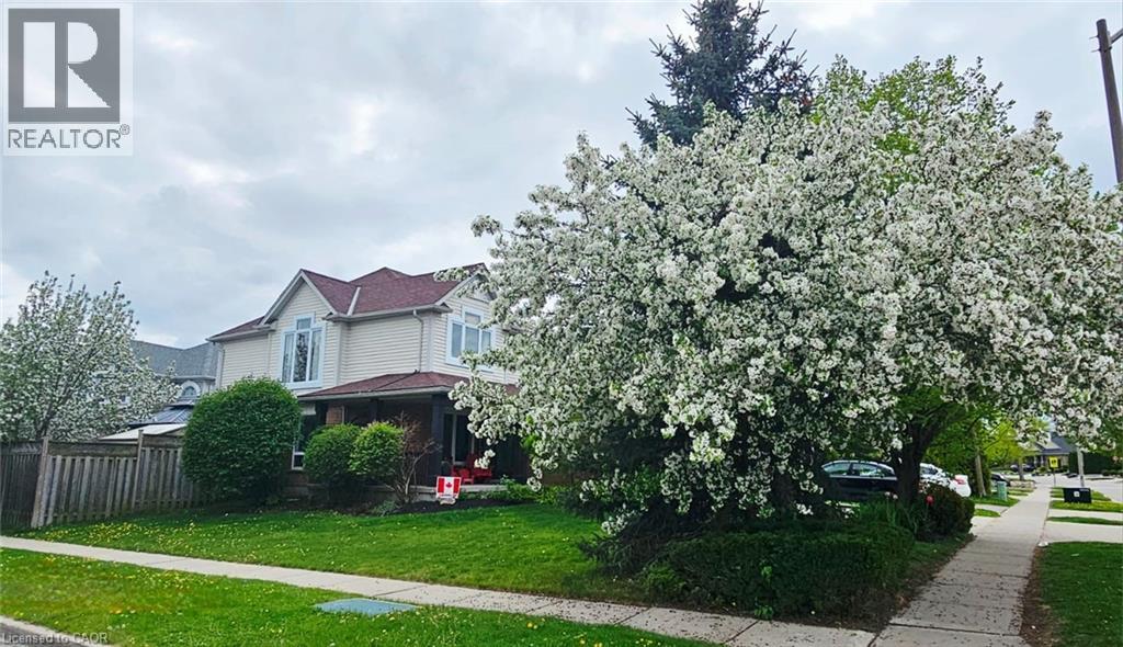 31 ADLER Drive thumbnail 45