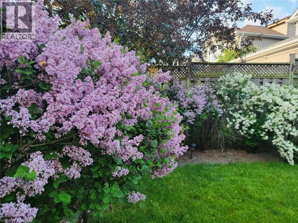 31 ADLER Drive thumbnail 47