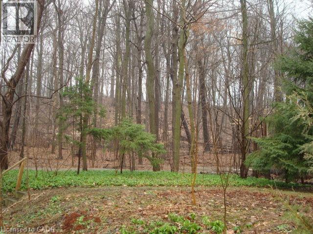 135 GLENFOREST Road thumbnail 45