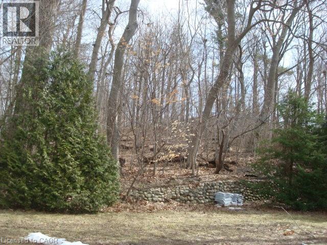 135 GLENFOREST Road thumbnail 43