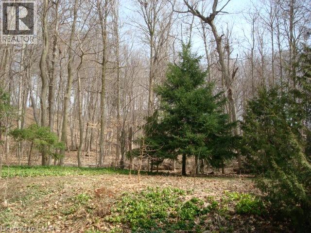 135 GLENFOREST Road thumbnail 46