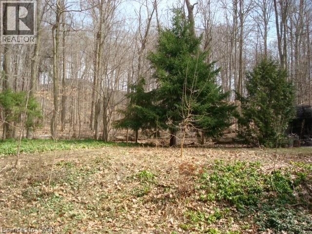 135 GLENFOREST Road thumbnail 42