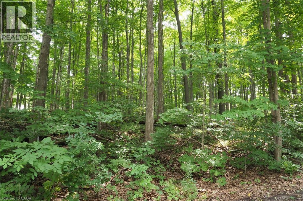 55 GREEN VALLEY Drive Unit# 1409 thumbnail 43