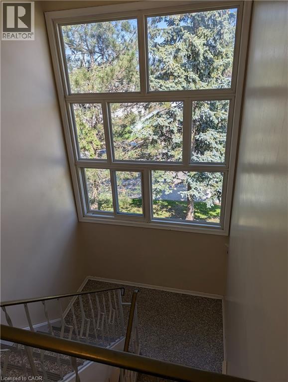 351 HOFFMAN Street thumbnail 3