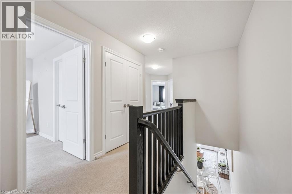 54 MIRANDA Path thumbnail 20