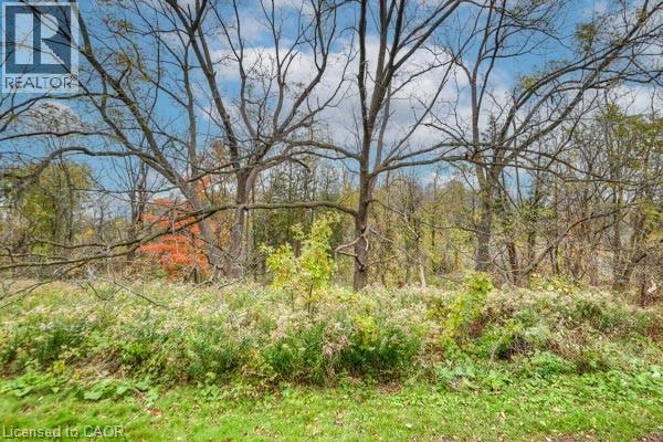 4 AVALON Place Unit# 106 thumbnail 7