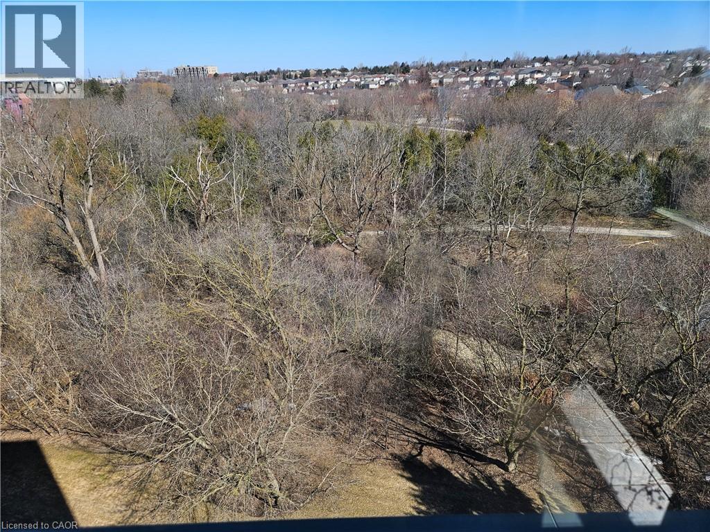 55 BLUE SPRINGS Drive Unit# 805 thumbnail 17