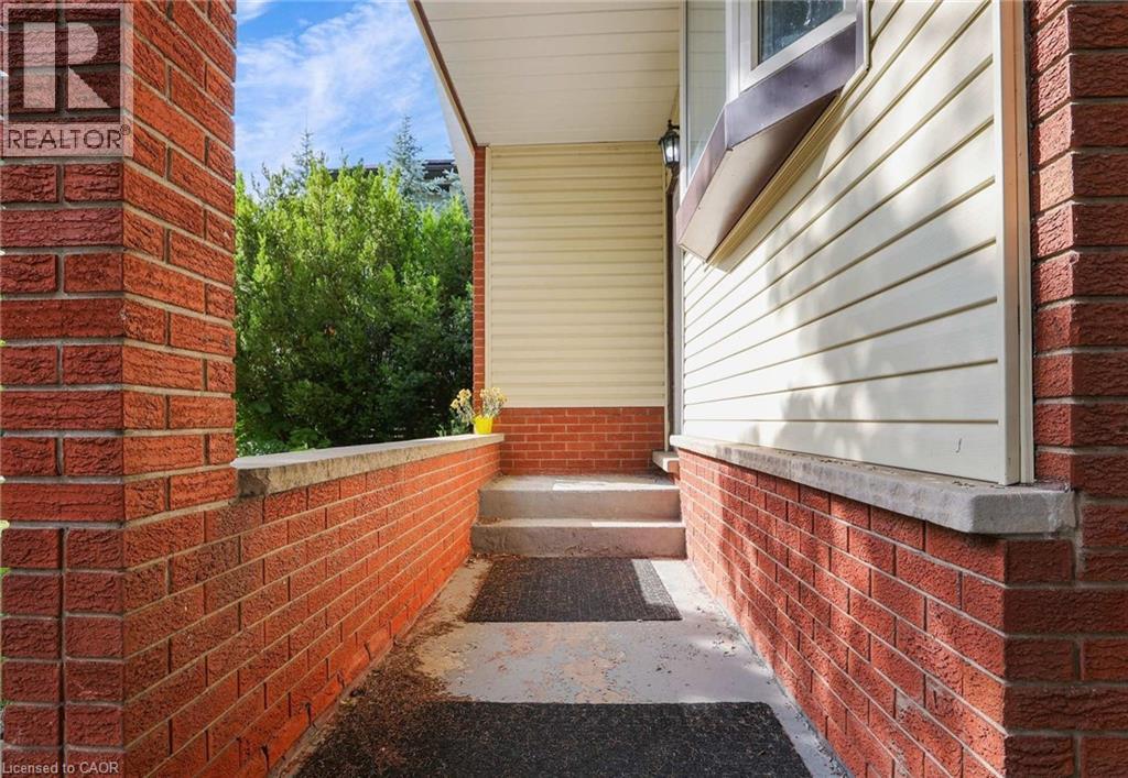 7 CARDILL Crescent thumbnail 2