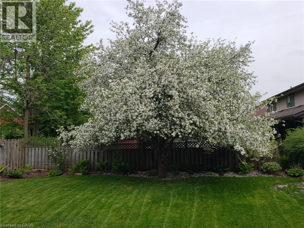 594 HUNTERS Place thumbnail 41