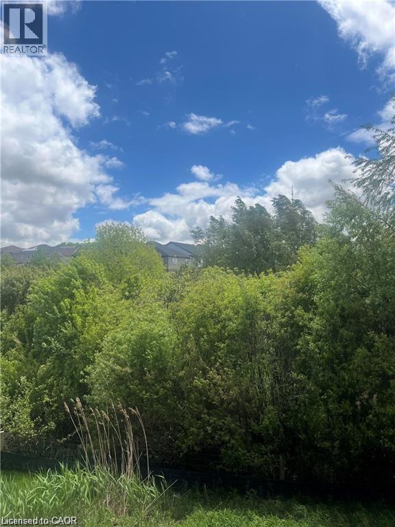 255 LADYSLIPPER Drive thumbnail 13