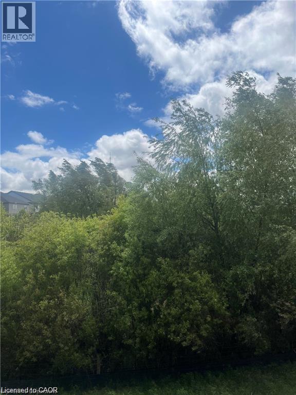 255 LADYSLIPPER Drive thumbnail 14