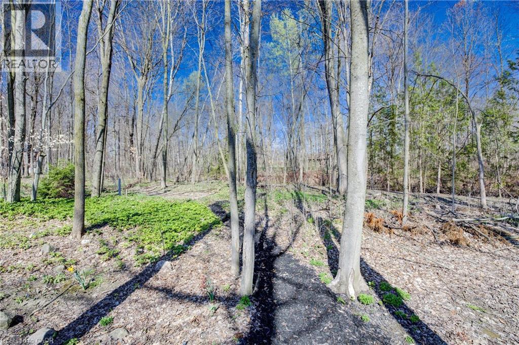 439 NORTHLAKE Drive thumbnail 41