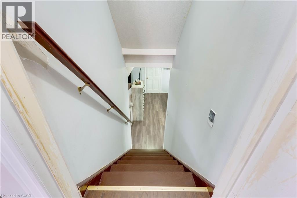 183 BUSH CLOVER Crescent thumbnail 31