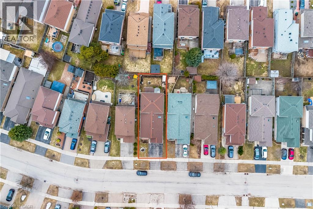 183 BUSH CLOVER Crescent thumbnail 44