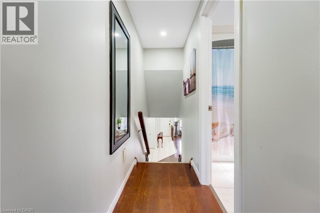 183 BUSH CLOVER Crescent thumbnail 20