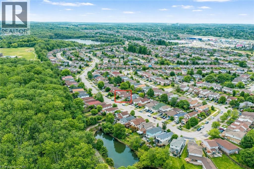 183 BUSH CLOVER Crescent thumbnail 42