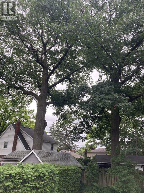 56 CHURCHILL Drive thumbnail 36