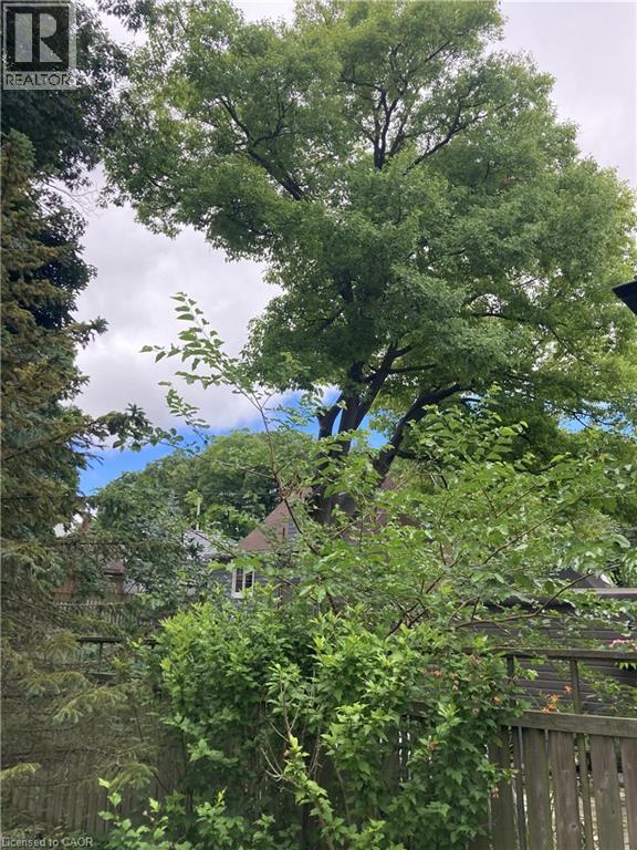 56 CHURCHILL Drive thumbnail 35