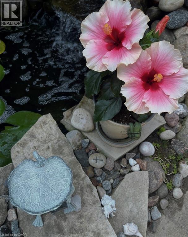 296 WEBER Street E thumbnail 38