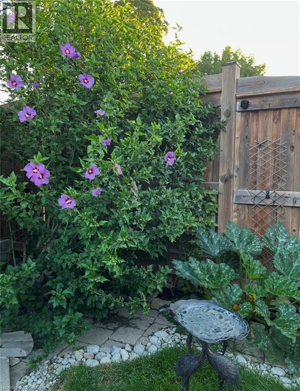 296 WEBER Street E thumbnail 37