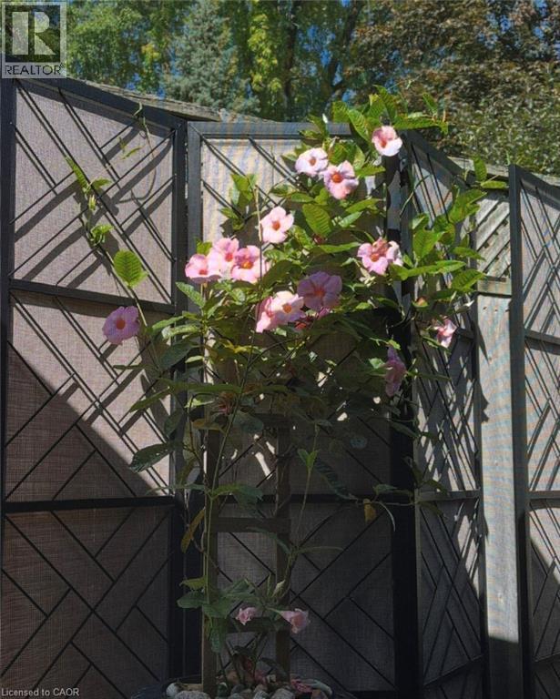 296 WEBER Street E thumbnail 40