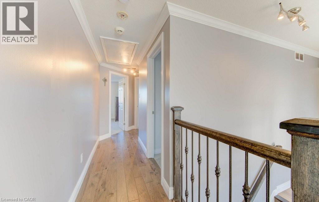 99 MAITLAND Street thumbnail 28