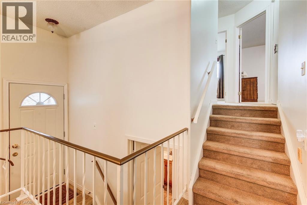 53 GREENOCK Drive thumbnail 19