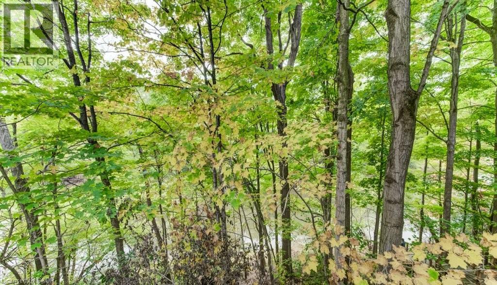 177 PIPER Street thumbnail 50