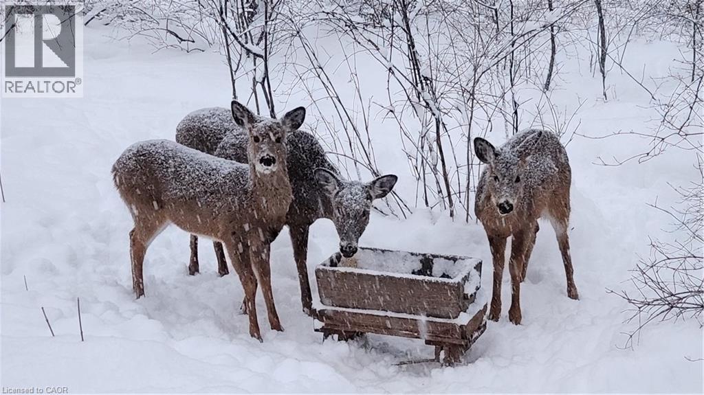 220 SALISBURY Avenue Unit# 23 thumbnail 40