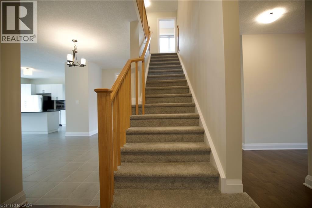 559 BALSAM POPLAR Street thumbnail 29