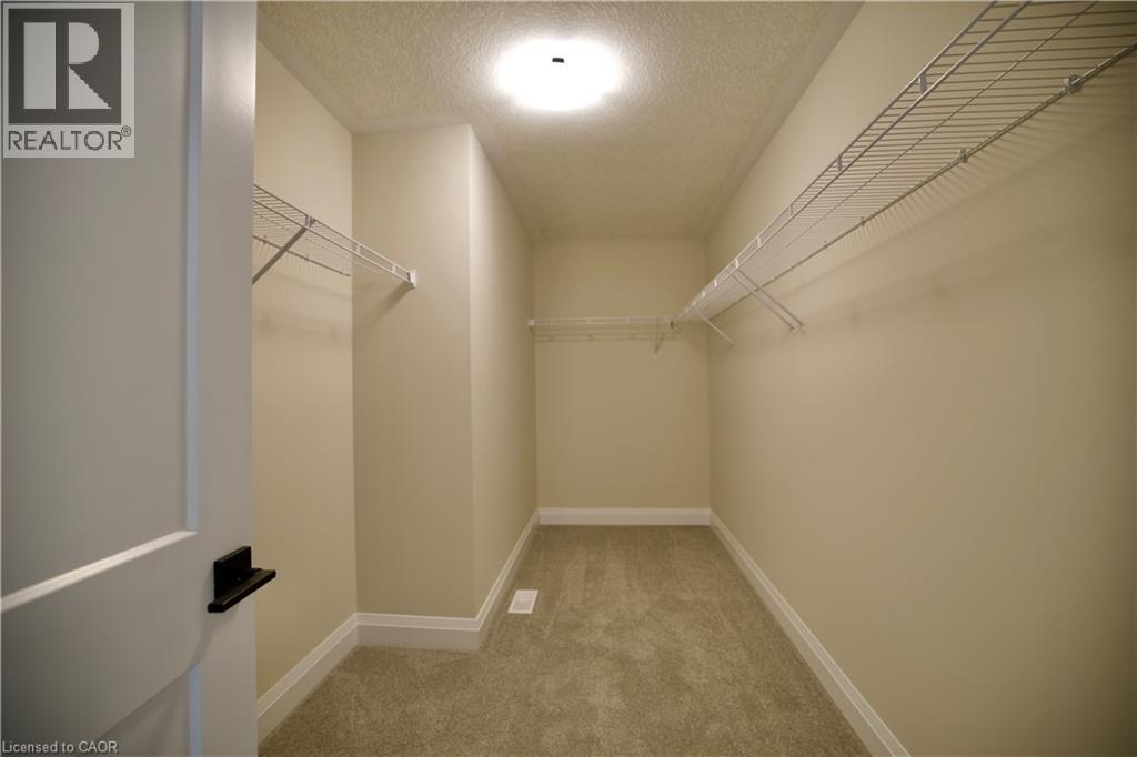 559 BALSAM POPLAR Street thumbnail 35