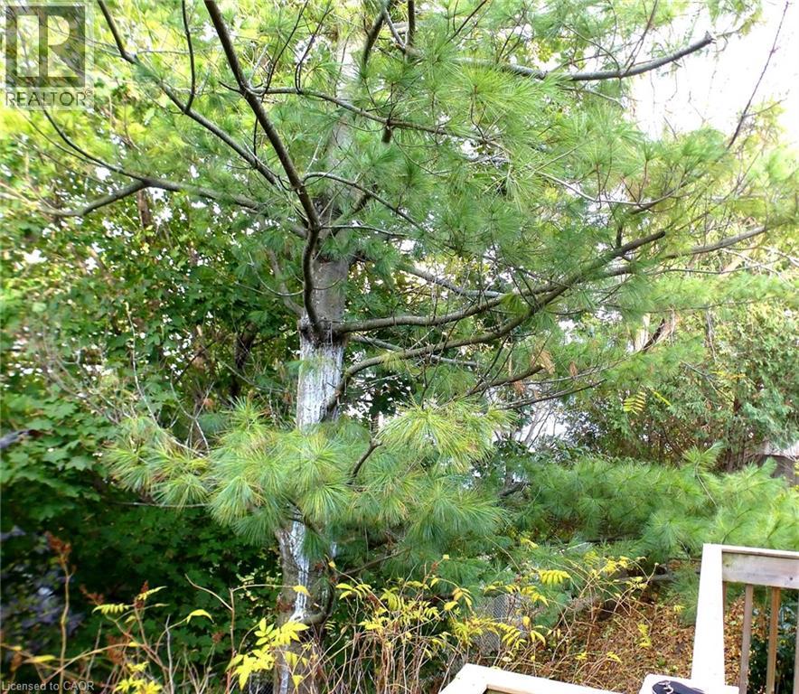 114 GLENCLIFFE Court thumbnail 36