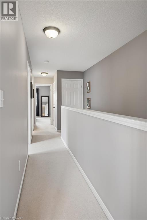 240 WESTMEADOW Drive Unit# 1B thumbnail 17