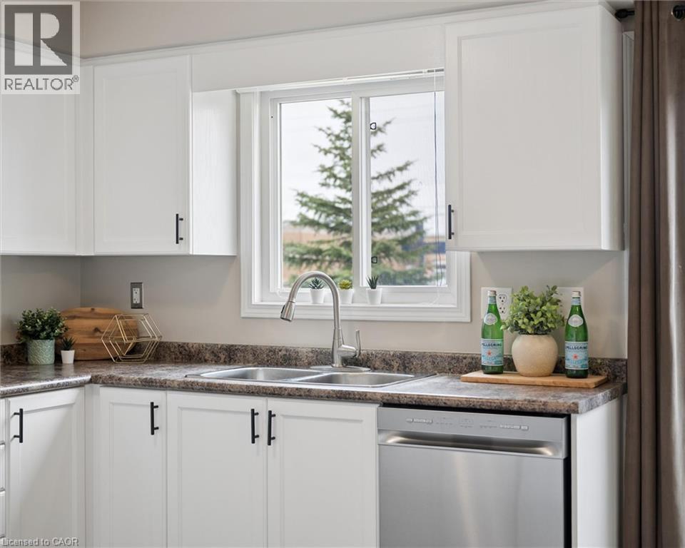 240 WESTMEADOW Drive Unit# 1B thumbnail 13