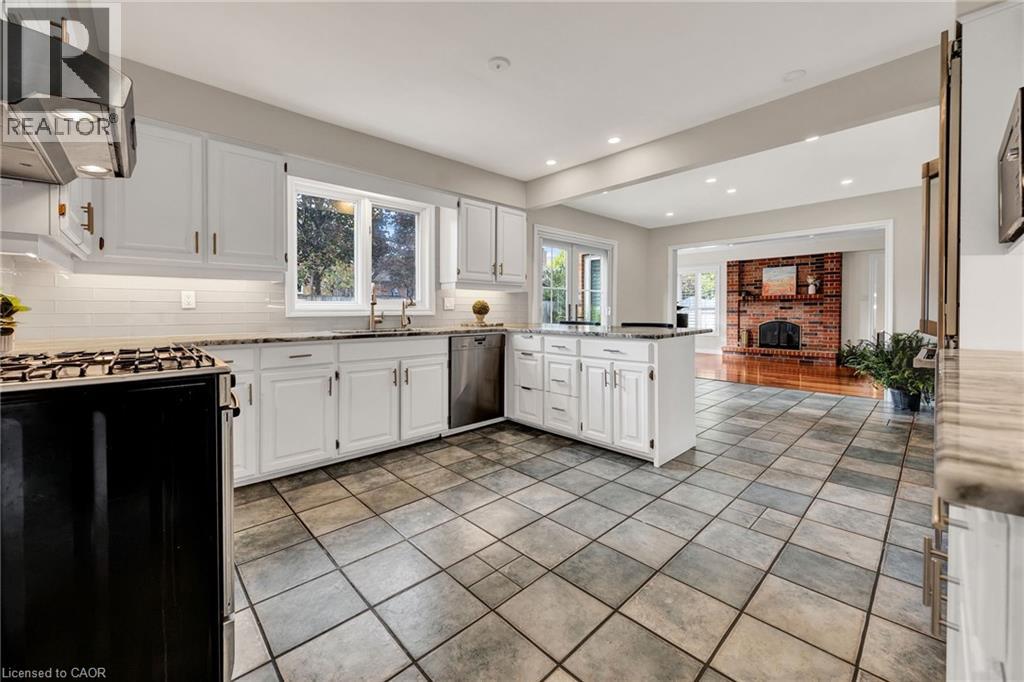 250 GREY SQUIRREL Place thumbnail 11